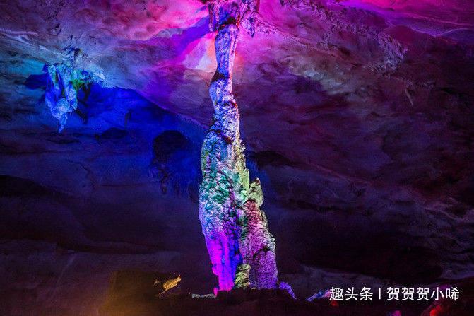 甘肃省99个产品获“陇上好粮油”认证